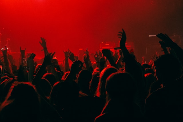 public pendant un concert au Dôme de Marseille