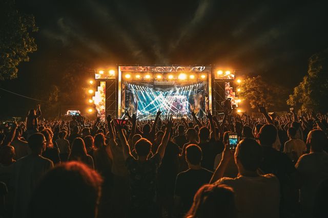 festivaliers lors d'un concert au Dour Festival