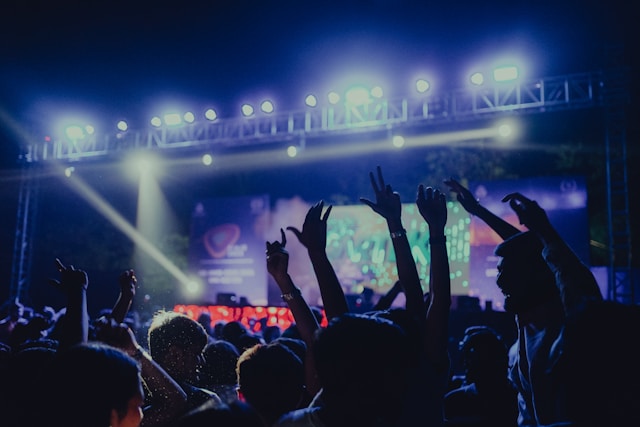 public à un concert du festival Astropolis