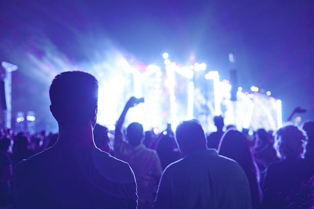 public pendant un concert au festival Francofolies de Spa