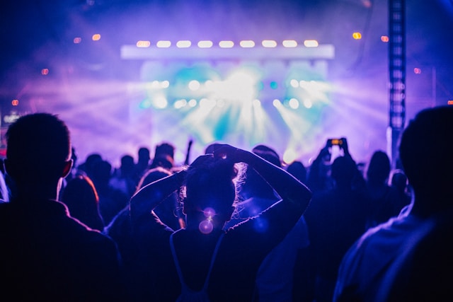 public durant un concert à la LDLC Arena