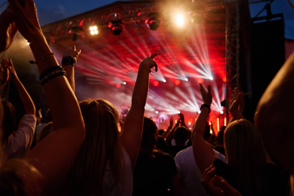 silhouettes dans le public d'un concert à Rock en Seine