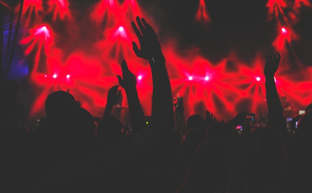 public pendant un concert au Zénith de Paris